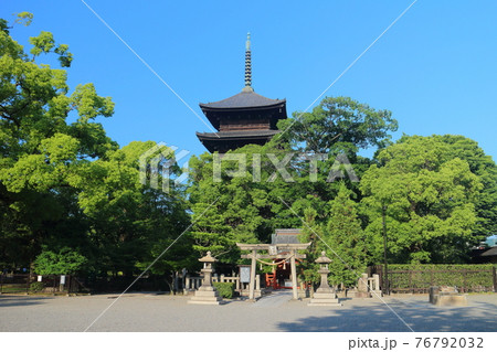 【京都府】新緑の東寺 五重塔 【京都府】新緑の東寺 五重塔 76792032