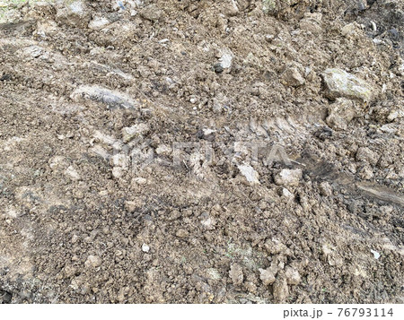 Texture of a brown, crumbly, loose, dense, fertile, natural, dry earth with granules, pieces of soil. The background Texture of a brown, crumbly, loose, dense, fertile, natural, dry earth with granules, pieces of soil. The background 76793114