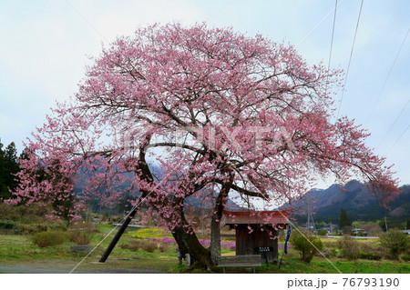 匠の里一宮地蔵尊 匠の里一宮地蔵尊 76793190