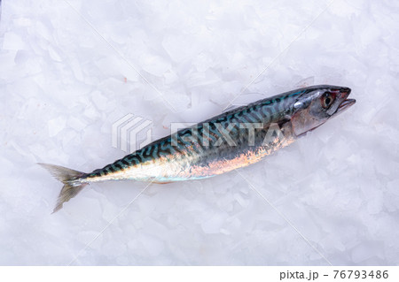 Fresh mackerel in ice 76793486