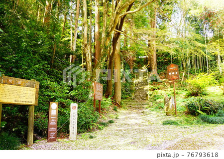 茨城県　桜の花びらでピンク色の楞厳寺入り口 76793618
