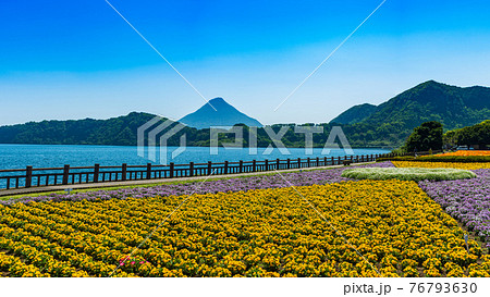 池田湖_九州最大の湖 薩摩富士 開聞岳を望み12月の菜の花をはじめ四季折々の花を楽しむことができる 池田湖_九州最大の湖 薩摩富士 開聞岳を望み12月の菜の花をはじめ四季折々の花を楽しむことができる 76793630