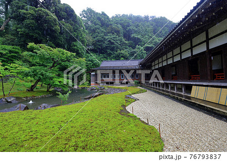 神奈川県　雨の北鎌倉　円覚寺　大方丈 76793837