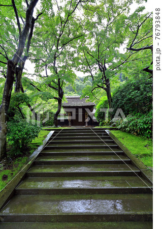 神奈川県 雨の北鎌倉 円覚寺 居士林 神奈川県 雨の北鎌倉 円覚寺 居士林 76793848