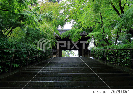 神奈川県　雨の北鎌倉　円覚寺　総門 76793864