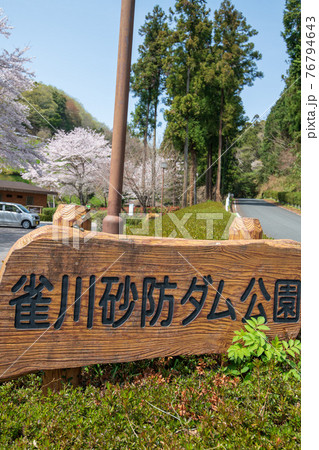 里山の春　雀川ダム湖公園 76794643