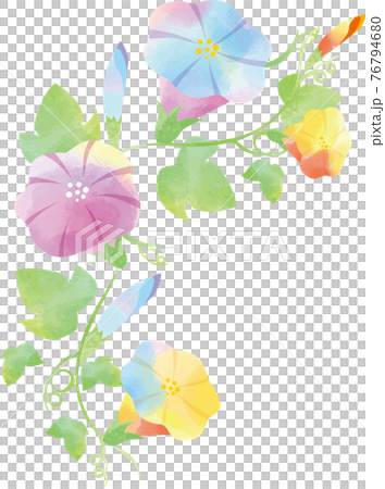 Watercolor-style morning glory background material Scandinavian watercolor frame ivy vine 76794680