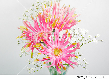 ガーベラと霞草の花瓶04 76795548