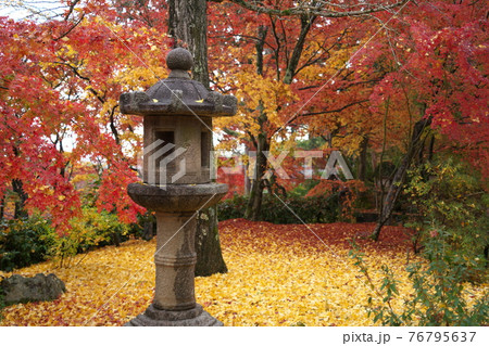 常寂光寺 京都の風景 常寂光寺 京都の風景 76795637