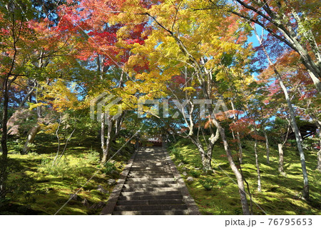 常寂光寺　京都の風景 76795653