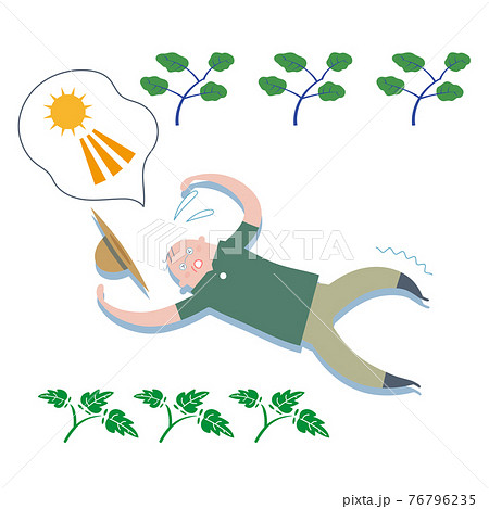 野菜を愛でる 野菜を食べる 野菜を育てる イラスト 野菜を愛でる 野菜を食べる 野菜を育てる イラスト 76796235