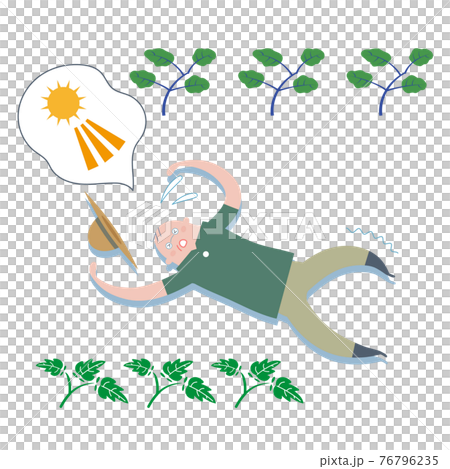 野菜を愛でる 野菜を食べる 野菜を育てる イラスト 野菜を愛でる 野菜を食べる 野菜を育てる イラスト 76796235