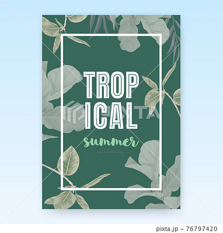 Summer poster template design, tropical green leaves on green background, pastel vintage style 76797420