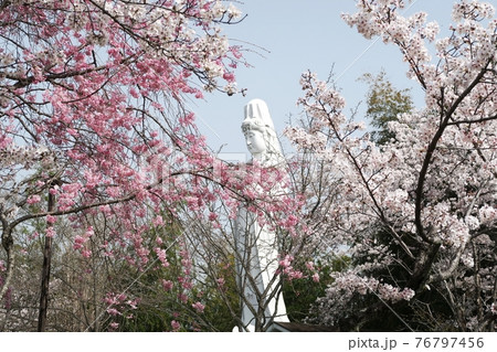 虎渓公園の平和観音像 虎渓公園の平和観音像 76797456