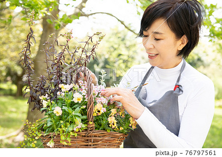ガーデニング・寄せ植えをする日本人女性 76797561
