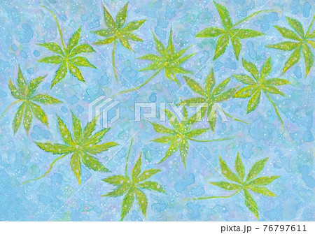 涼しい水の落ち葉 76797611