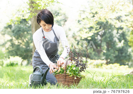 花の手入れ・寄せ植え・ガーデニングをする日本人女性 76797626