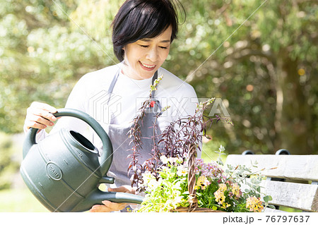 花の手入れ・寄せ植え・ガーデニングをする日本人女性 花の手入れ・寄せ植え・ガーデニングをする日本人女性 76797637