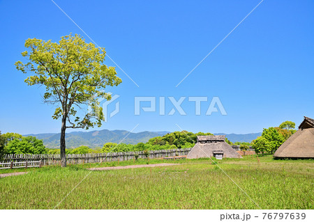 佐賀県 吉野ヶ里歴史公園 佐賀県 吉野ヶ里歴史公園 76797639