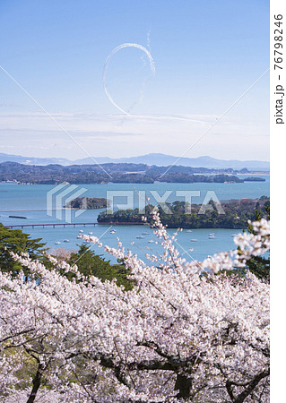 松島の桜とブルーインパルス001 松島の桜とブルーインパルス001 76798246