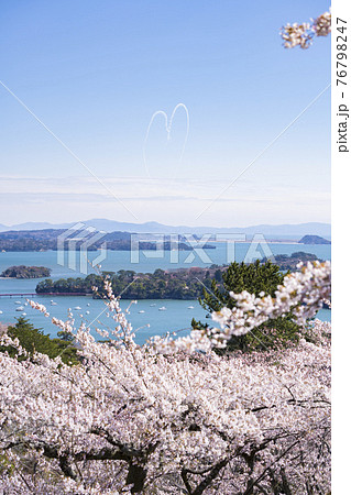 松島の桜とブルーインパルス002 松島の桜とブルーインパルス002 76798247