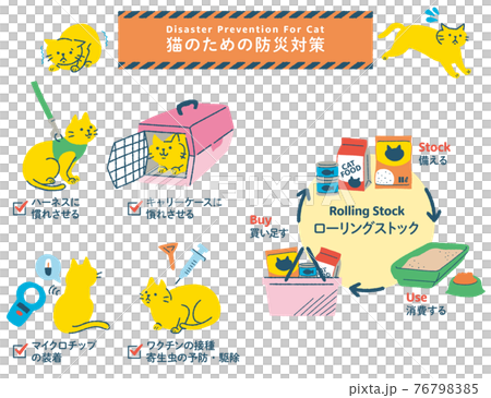 Cat disaster prevention measures illustration set Cat disaster prevention measures illustration set 76798385