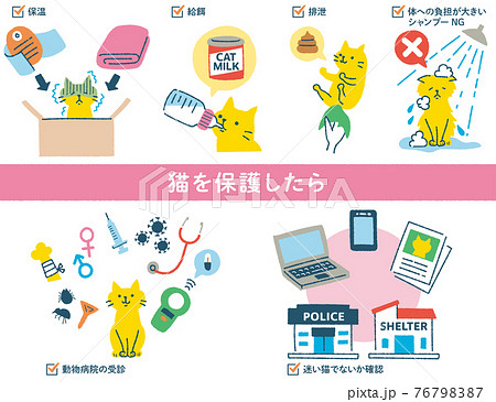 猫をケアするイラストセット 76798387