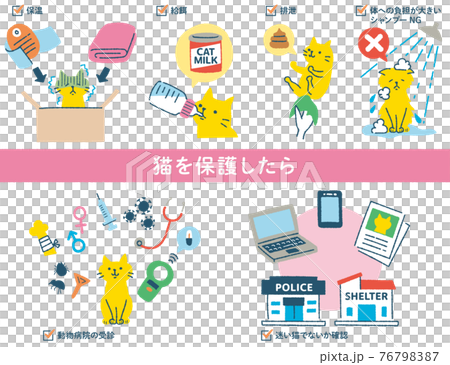 插圖設置為照顧貓 76798387