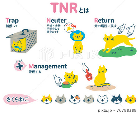 TNR活動　地域猫　イラストセット 76798389