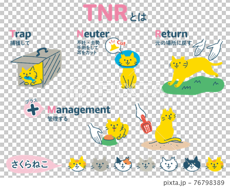 TNR 活動區域貓插圖集 76798389