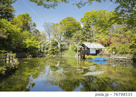 鍋島松濤公園 鍋島松濤公園 76798535
