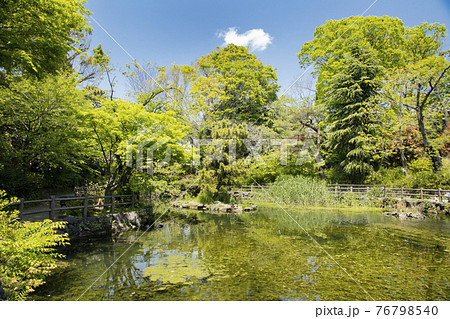 鍋島松濤公園 鍋島松濤公園 76798540