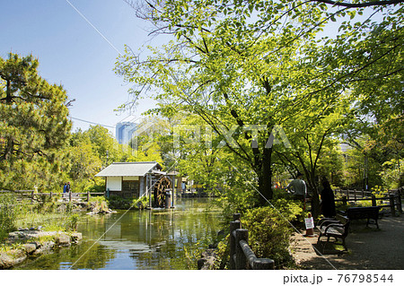 鍋島松濤公園 鍋島松濤公園 76798544