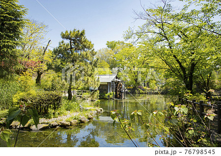 鍋島松濤公園 鍋島松濤公園 76798545