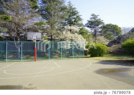 桜咲く 千葉県船橋市 運動公園 バスケットゴールの写真素材