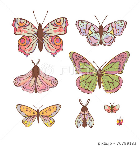 HAND DRAWN BUTTERFLY Cute Cartoon Tropical Insect Clip Art Vector Illustration Set For Print HAND DRAWN BUTTERFLY Cute Cartoon Tropical Insect Clip Art Vector Illustration Set For Print 76799133