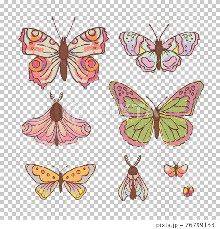 HAND DRAWN BUTTERFLY Cute Cartoon Tropical Insect Clip Art Vector Illustration Set For Print HAND DRAWN BUTTERFLY Cute Cartoon Tropical Insect Clip Art Vector Illustration Set For Print 76799133