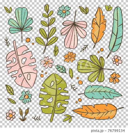HAND DRAWN LEAVES Botanic Herbarium Nature Cartoon Clip Art Vector Illustration Set For Print HAND DRAWN LEAVES Botanic Herbarium Nature Cartoon Clip Art Vector Illustration Set For Print 76799134
