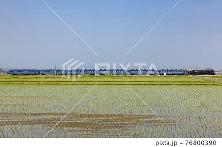 津軽平野を疾走する蒸気機関車D51 76800390