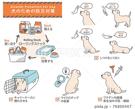 犬の防災対策イラストセット 76800407