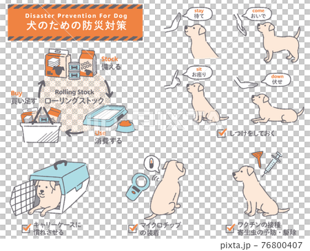 犬の防災対策イラストセット 76800407