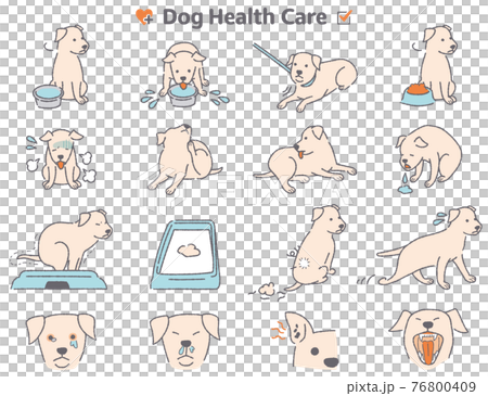 狗身體狀況症狀圖集 76800409