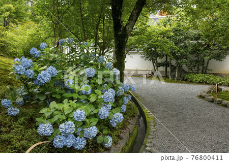 天龍寺　庭園 76800411
