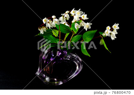 ガラス製の花瓶に飾ったウツギの花 76800470