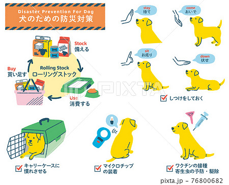 犬の防災対策イラストセット 76800682