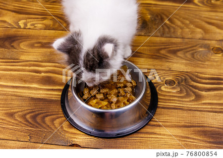 Small kitten eating his food from metal bowl on wooden floor Small kitten eating his food from metal bowl on wooden floor 76800854