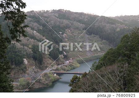 赤岩尾神社参道より赤岩大橋　桜を眺める 76800925