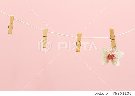 Wooden clothespins on rope on pink background Wooden clothespins on rope on pink background 76801100