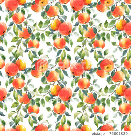 Beautiful seamless pattern with hand drawn watercolor tasty summer red apple fruits. Stock illustration. 76801320