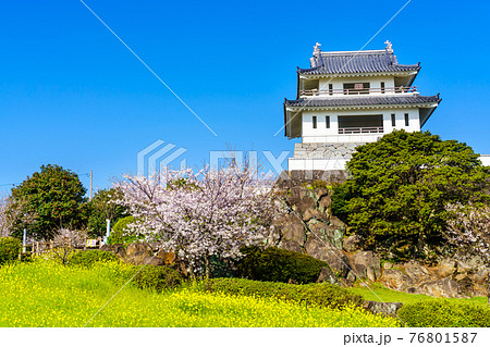 竹崎城址展望台 菜の花と桜 【佐賀県藤津郡太良町】 竹崎城址展望台 菜の花と桜 【佐賀県藤津郡太良町】 76801587